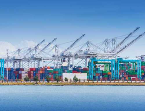 Il trasporto marittimo in Italia riprende a crescere